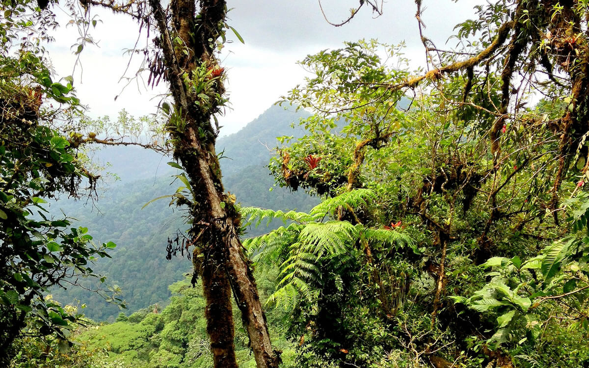 Darién National Park A Bastion of Biodiversity & Cultural Heritage